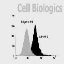 Cell Based ELISA kits (2174)